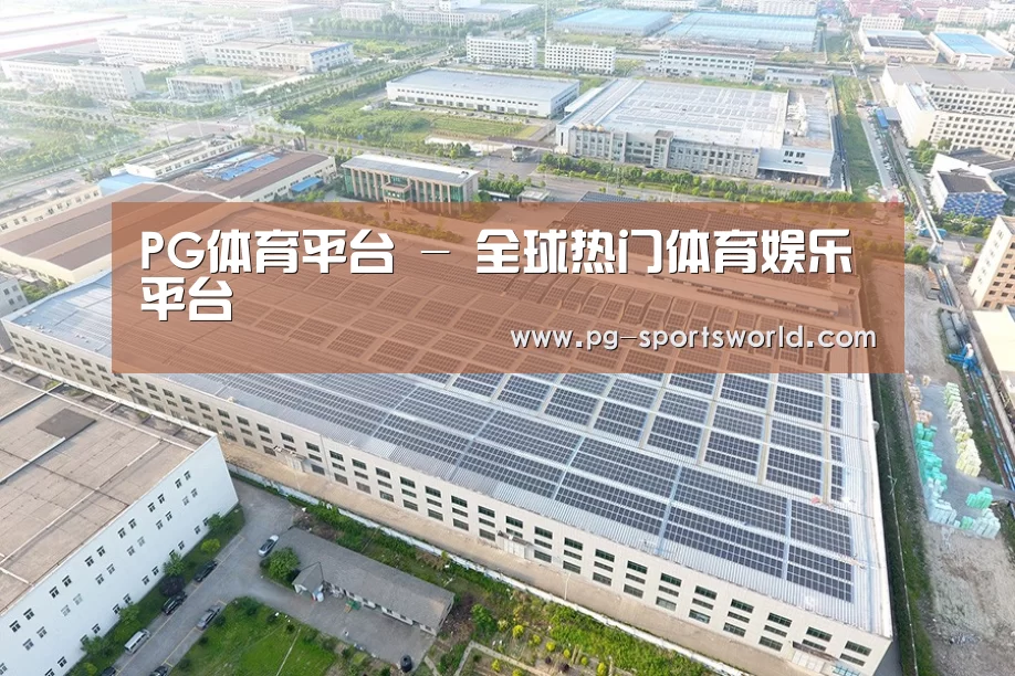 案例展示一