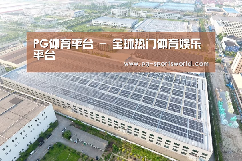 案例展示二