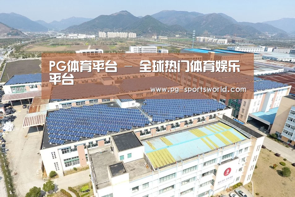 案例展示二