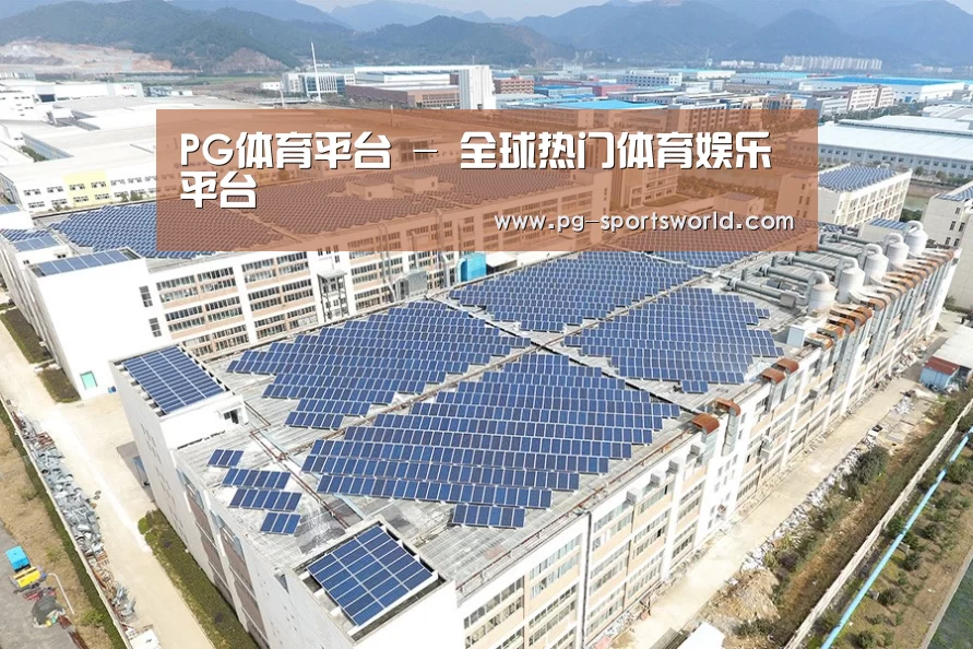 案例展示一