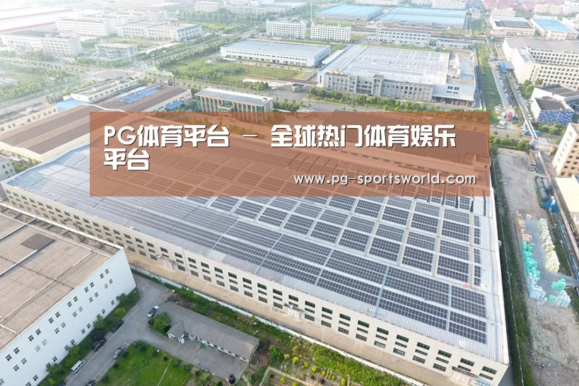 案例展示二