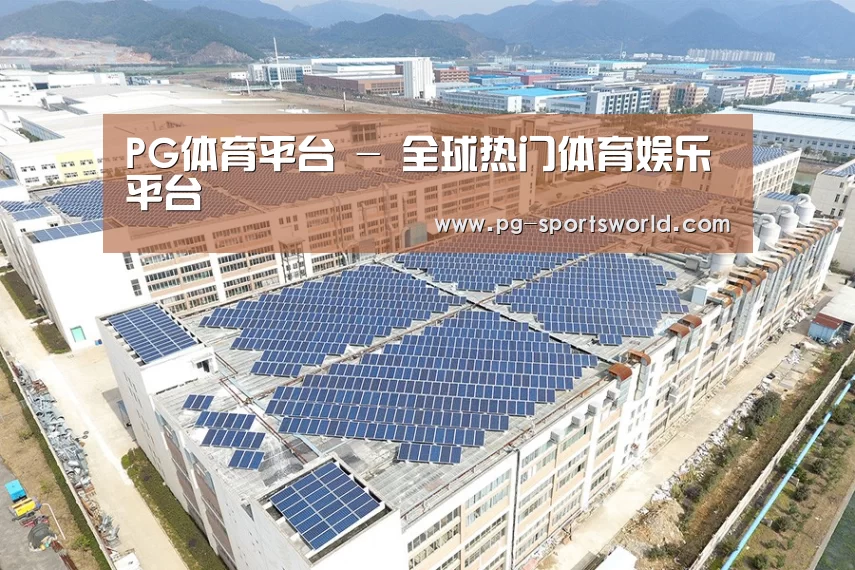 案例展示二