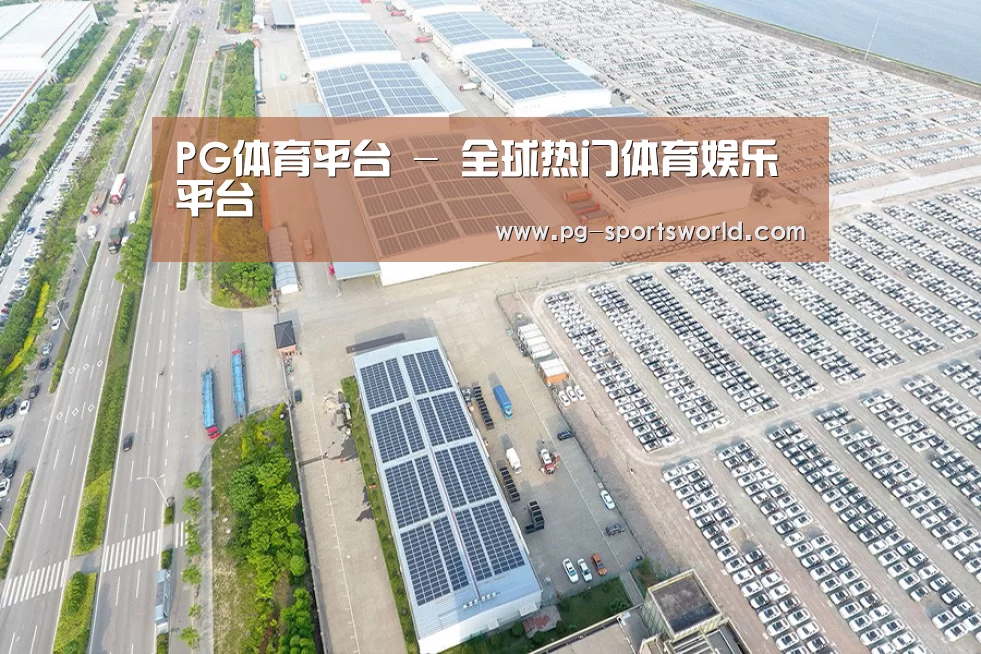 案例展示一