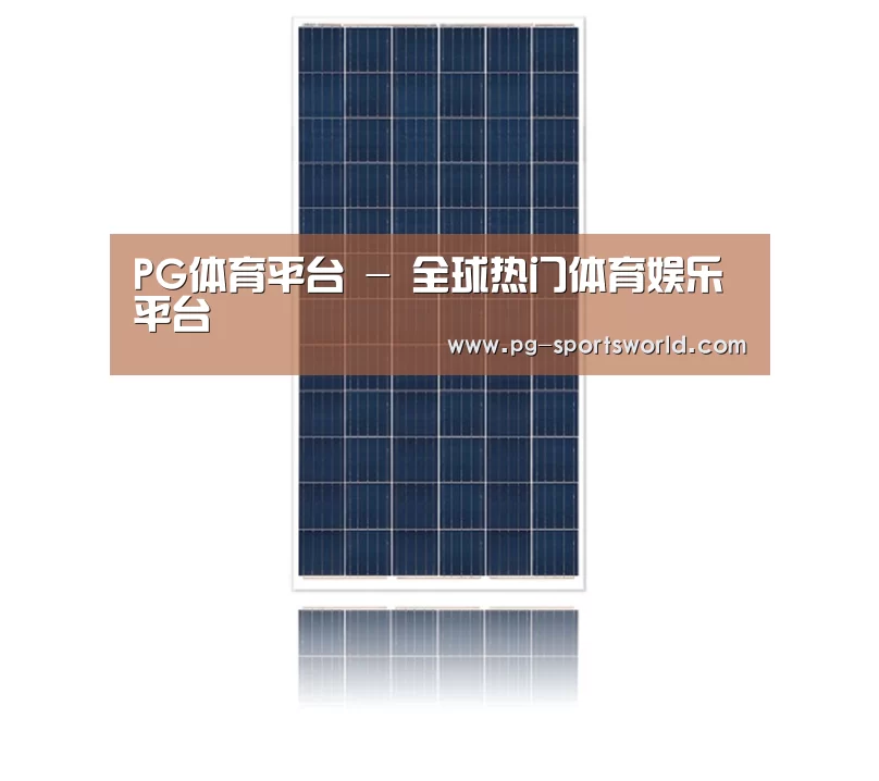 产品名称一