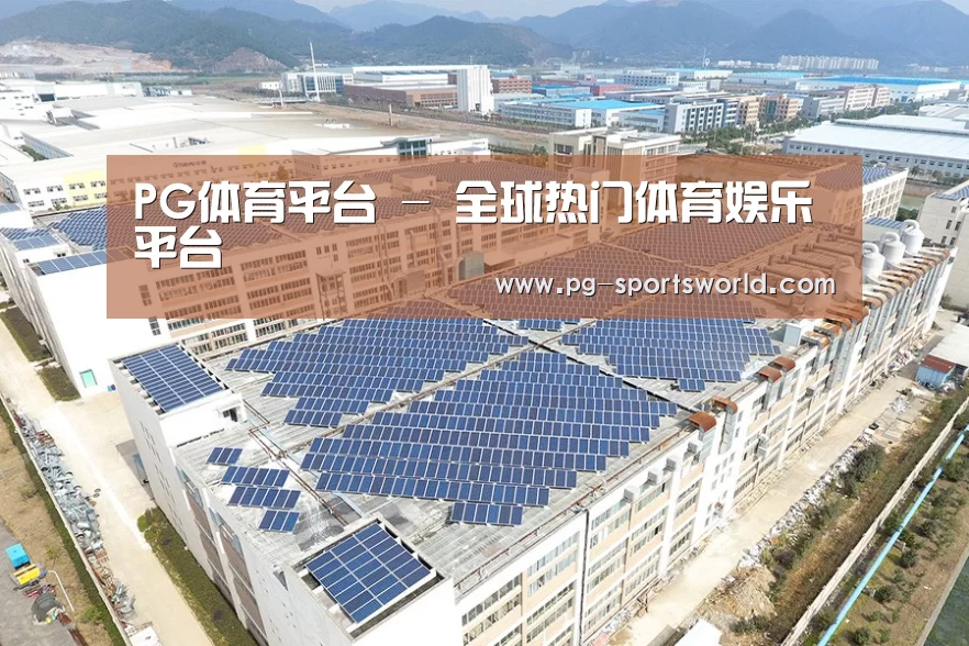 案例展示四