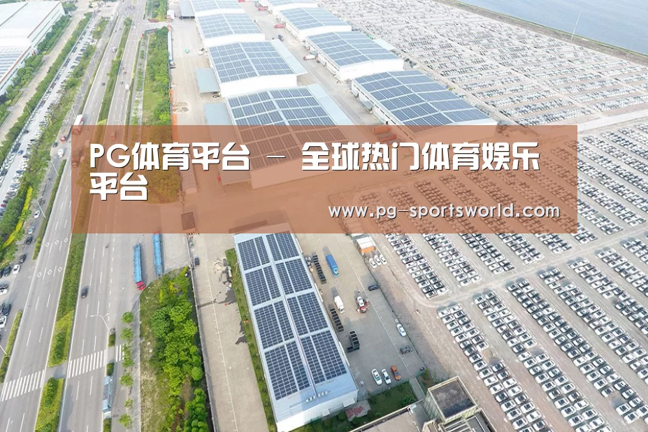 案例展示一