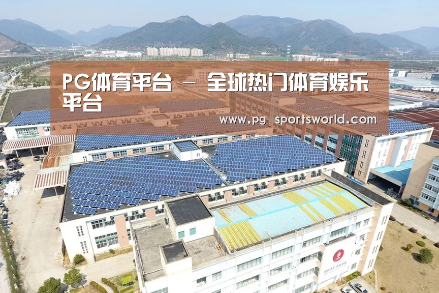 案例展示三