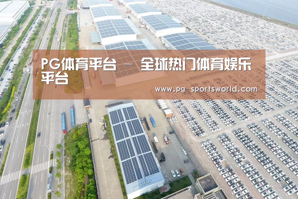 案例展示三