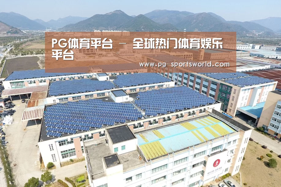 案例展示三
