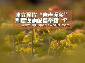 建立现代“告老还乡”制度还需配套举措“PG体育”(图2) PG足球