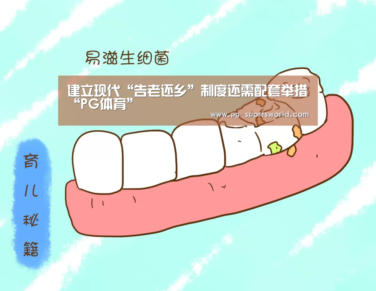 建立现代“告老还乡”制度还需配套举措“PG体育”(图4) PG篮球