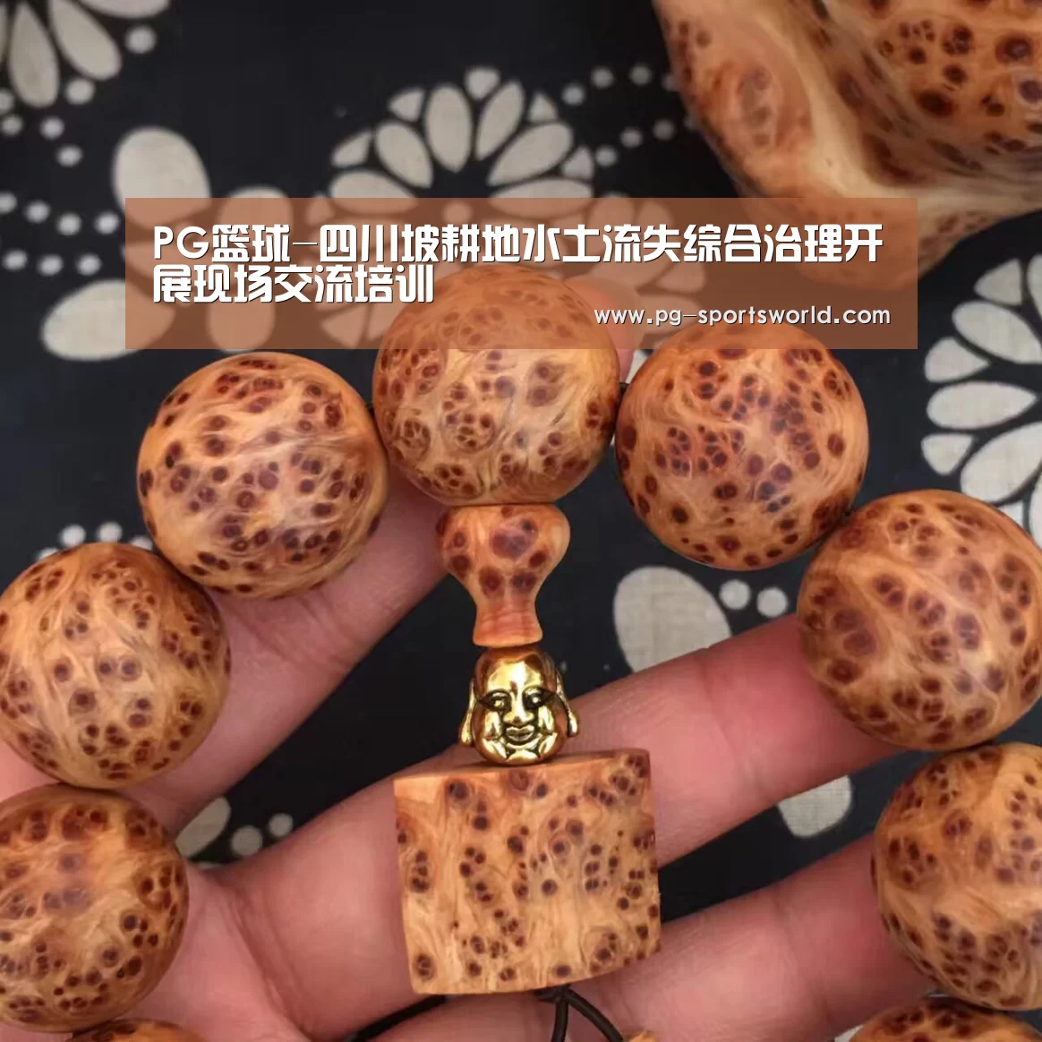 PG篮球-四川坡耕地水土流失综合治理开展现场交流培训(图3) PG篮球