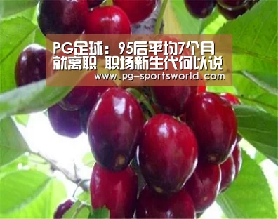 PG足球:95后平均7个月就离职 职场新生代何以说走就走?(图2) PG竞猜