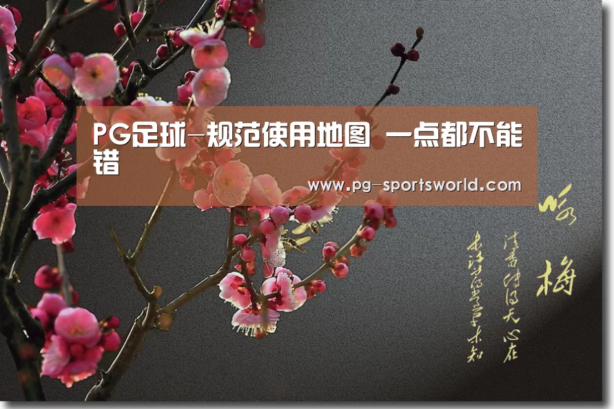 PG足球
