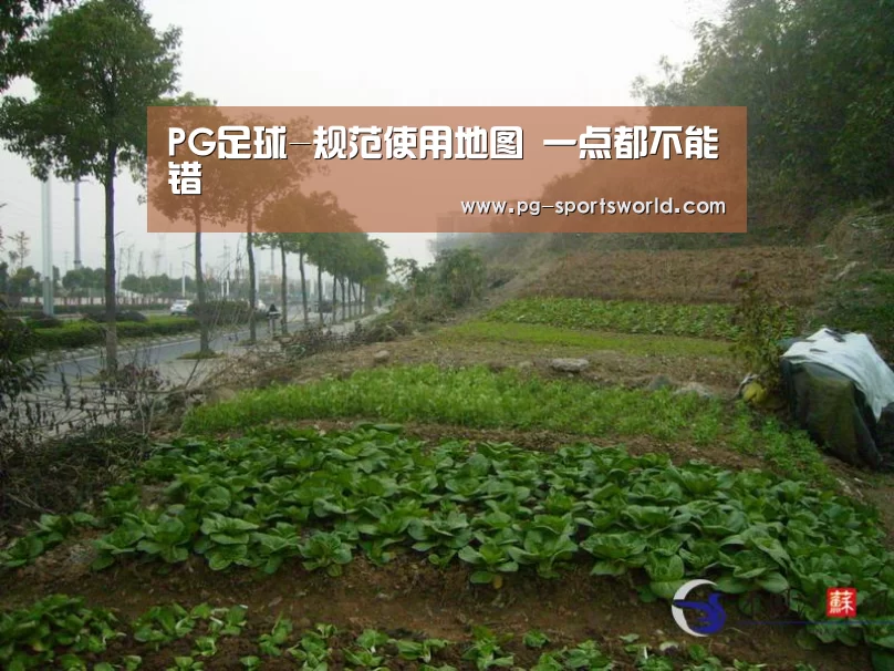 PG体育