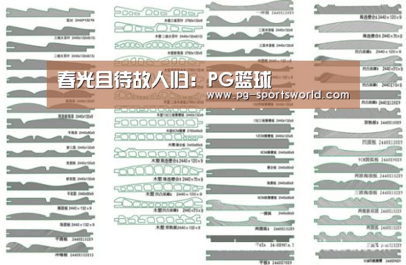 春光且待故人归:PG篮球(图1) PG体育