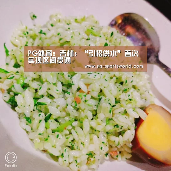 PG体育:吉林:“引松供水”首次实现区间贯通(图3) PG竞猜