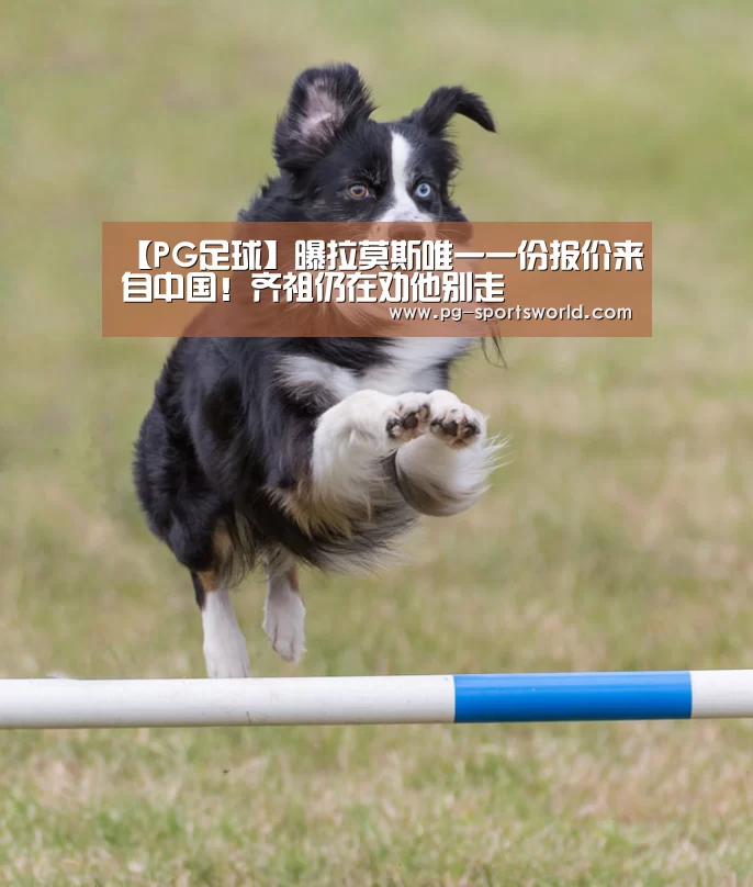 【PG足球】曝拉莫斯唯一一份报价来自中国!齐祖仍在劝他别走(图3) PG体育